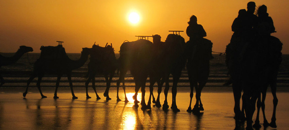 Leisure in Essaouira